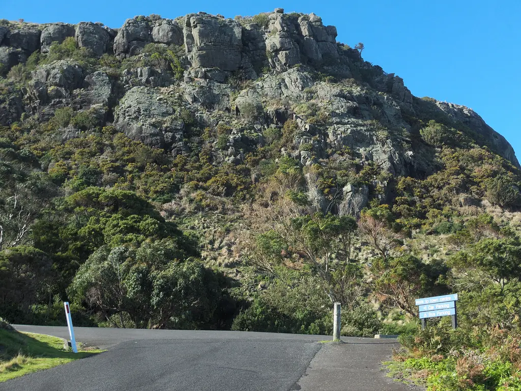 Browns Road leading towards The Nut at Stanley
