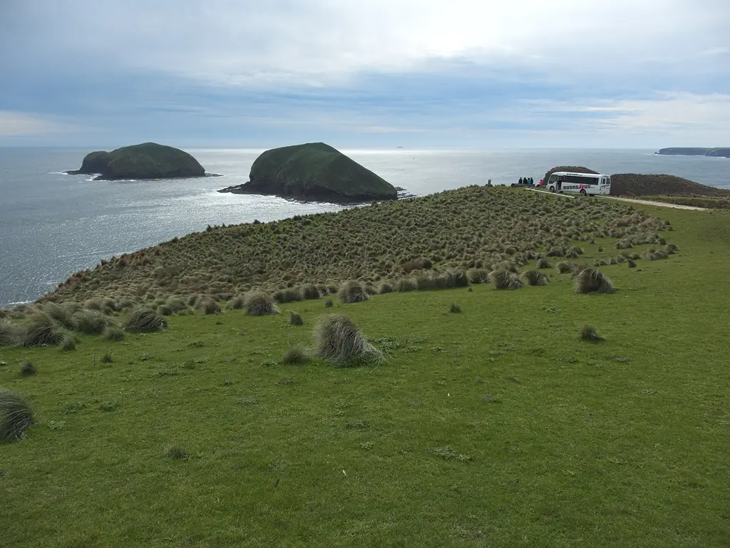 Coastal landscape at Cape Grim with The Doughboys offshore