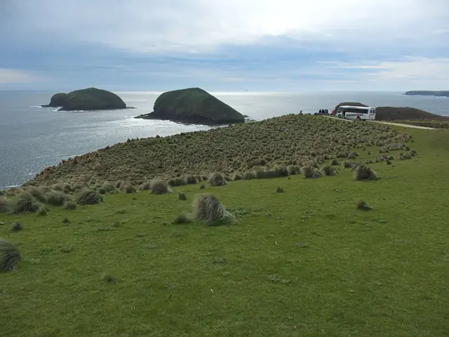 Coastal landscape at Cape Grim with The Doughboys offshore