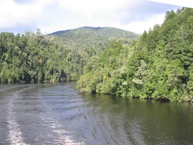A bend in the Gordon River seen from a cruise boat
