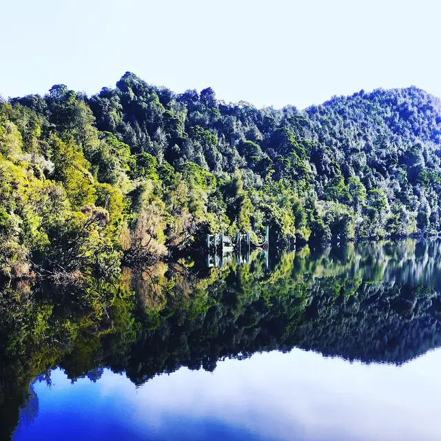 Forest reflected in the still Gordon River on a calm day