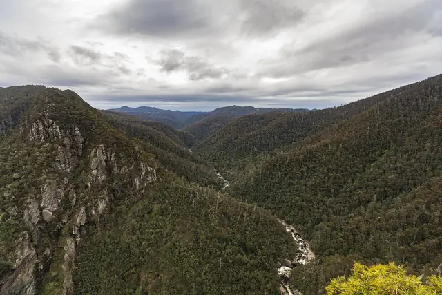 Looking into Leven Canyon from a lookout