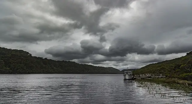 The Pieman River winding through forest