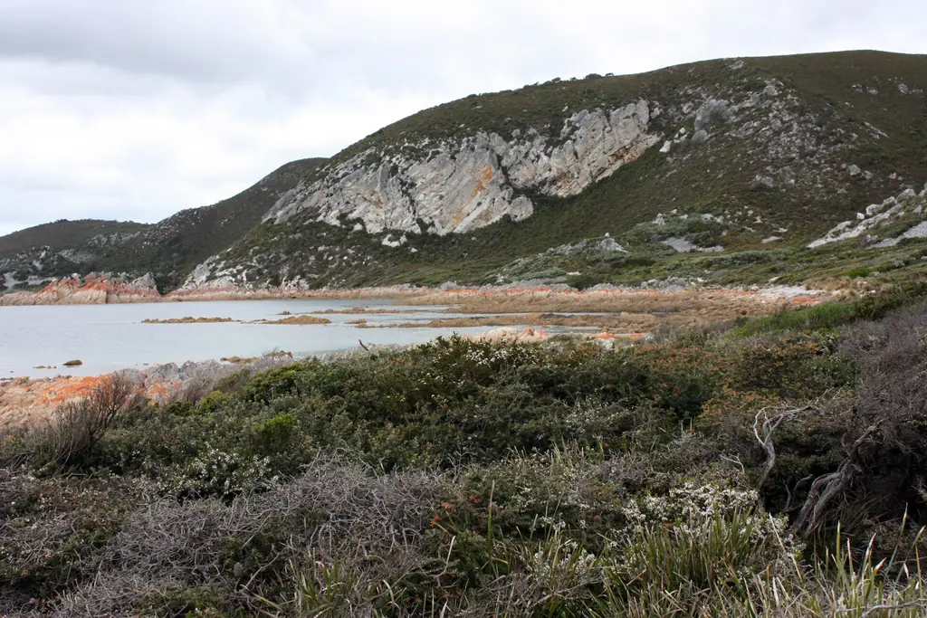 Rugged coastline of Rocky Cape National Park