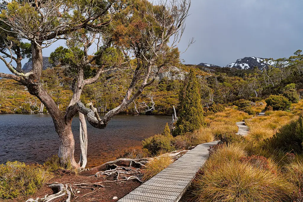 Wombat Pool, a tarn on the Cradle Mountain walking tracks